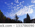 秋天天空和樹 133786090