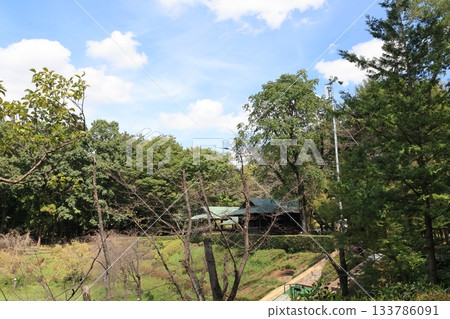 埼玉縣上尾市圓山公園的風景 埼玉縣上尾市圓山公園的風景 133786091