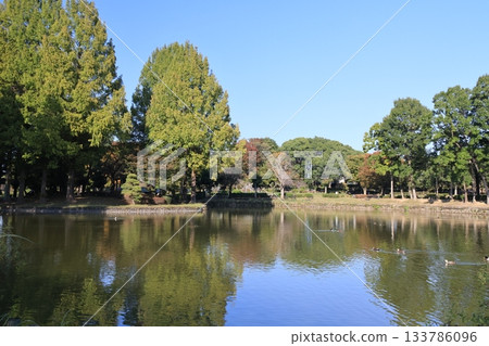Scenery of Maruyama Park in Ageo City, Saitama Prefecture 133786096