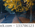銀杏路秋葉斑斕 133786123