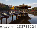 浮見堂倒映在水面上 133786124