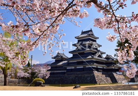 春色國寶松本城 133786181