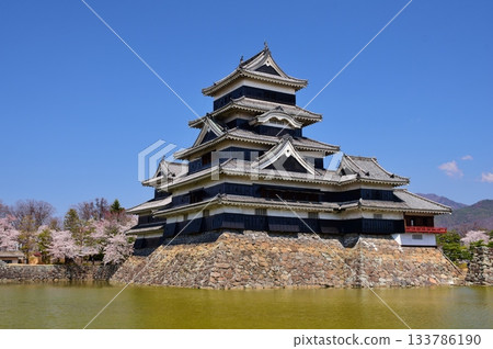 春色國寶松本城 春色國寶松本城 133786190
