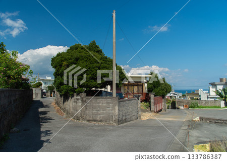 A clear blue sky, a cityscape with a view of the emerald green sea, and a forked road A clear blue sky, a cityscape with a view of the emerald green sea, and a forked road 133786387