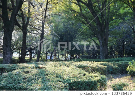 埼玉縣上尾市圓山公園的風景 埼玉縣上尾市圓山公園的風景 133786439