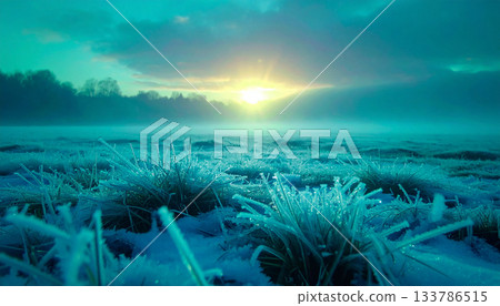Frosty Teal Grass in Snow Under a Cold Sun and Misty Horizon 133786515