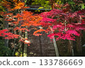 延曆寺的秋葉 133786669