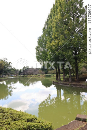 埼玉縣上尾市圓山公園的風景 133786697
