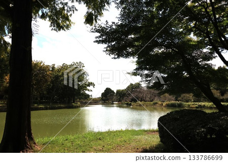埼玉縣上尾市圓山公園的風景 133786699