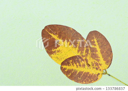 A collaboration of Japanese paper and the yellow leaves of deciduous trees and Japanese bush clover [Background material] 133786837