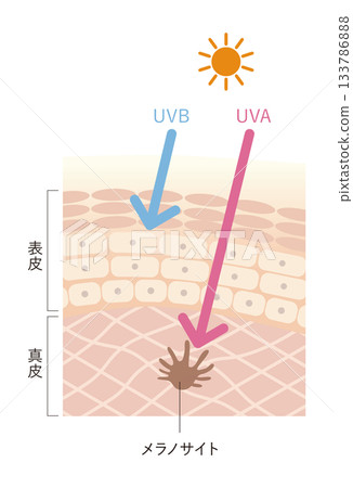 Effects of ultraviolet rays Effects of ultraviolet rays 133786888