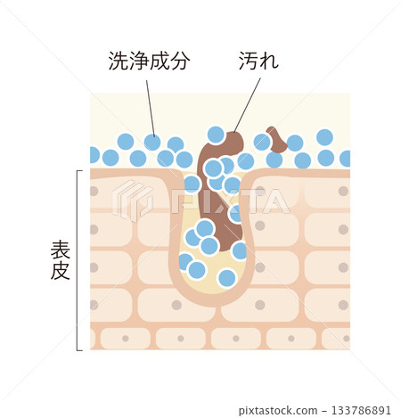 清除毛孔中的污垢 133786891