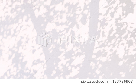 植物影光陽光 133786908