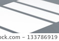 Abstract window sashes shadow falling background 133786919