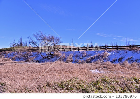 深秋時節的美久志原高原草原,以及殘存的第一場雪。 深秋時節的美久志原高原草原,以及殘存的第一場雪。 133786976