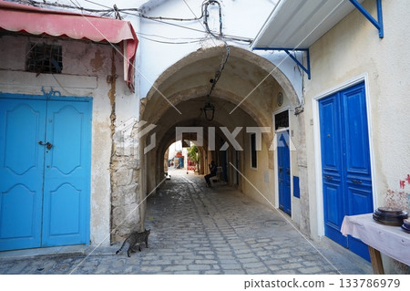 突尼斯，北非 133786979