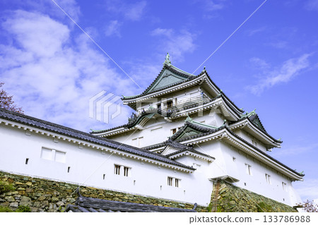 和歌山城塔(和歌山縣和歌山市) 和歌山城塔(和歌山縣和歌山市) 133786988