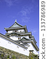 Wakayama Castle Tower (Wakayama City, Wakayama Prefecture) 133786989