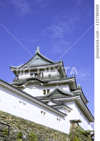 Wakayama Castle Tower (Wakayama City, Wakayama Prefecture) Wakayama Castle Tower (Wakayama City, Wakayama Prefecture) 133786989