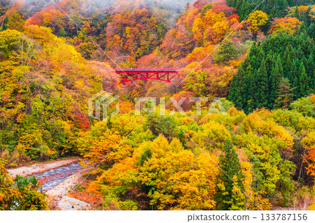 Matsukawa Valley (Autumn) Takayama Village 133787156
