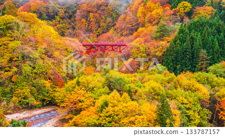 Matsukawa Valley (Autumn) Takayama Village 133787157