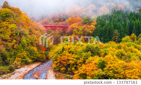 Matsukawa Valley (Autumn) Takayama Village 133787161