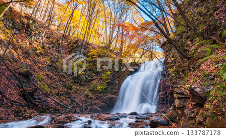 Asama Falls (Autumn) Asama Falls (Autumn) 133787178