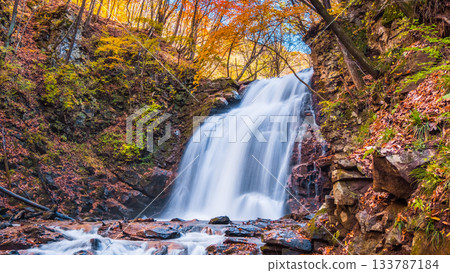Asama Falls (Autumn) 133787184