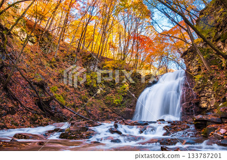 Asama Falls (Autumn) 133787201