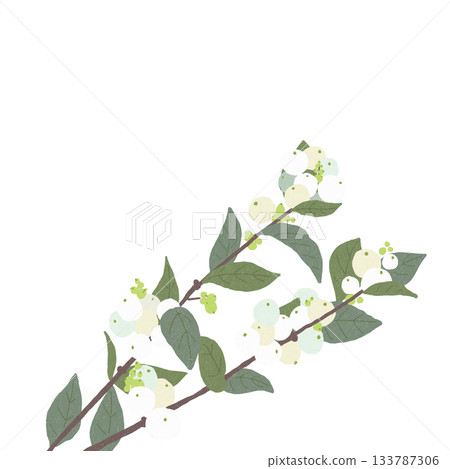 Symphorical postcard for wedding bouquet. Transparent background. Symphorical postcard for wedding bouquet. Transparent background. 133787306