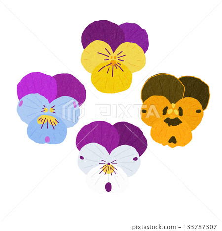 Cute violet, viola, violet flowers Cute violet, viola, violet flowers 133787307