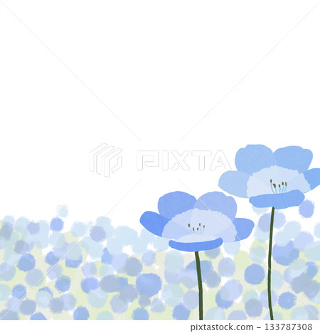 A cluster of nemophila flowers, a blue carpet A cluster of nemophila flowers, a blue carpet 133787308