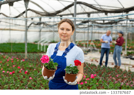 Adult woman holding flower pot with peralgonium 133787687