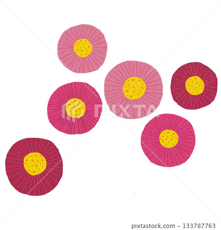 Cute Daisy Cute Daisy 133787763