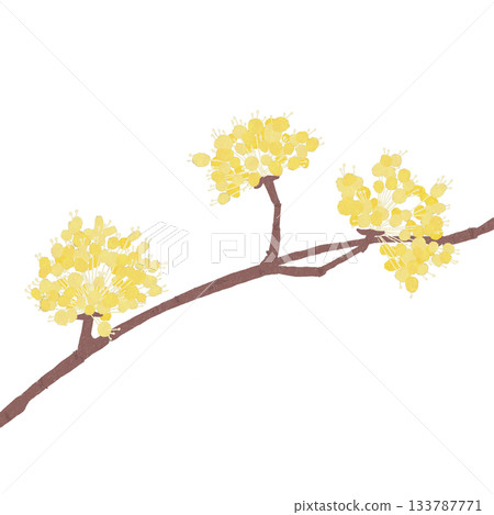 三水之花 133787771