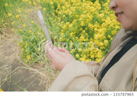 rape, rape blossoms, field of rapeseed 133787965
