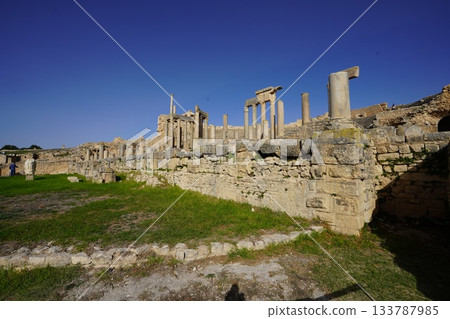 Tunisia, North Africa Tunisia, North Africa 133787985