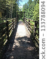 熊野古道，綠樹環繞 133788094