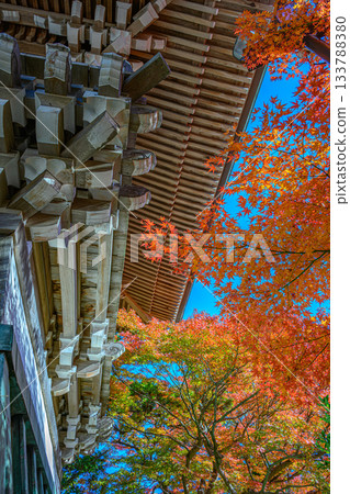 Autumn leaves (Yakuo-in Temple, Mount Takao) Autumn leaves (Yakuo-in Temple, Mount Takao) 133788380