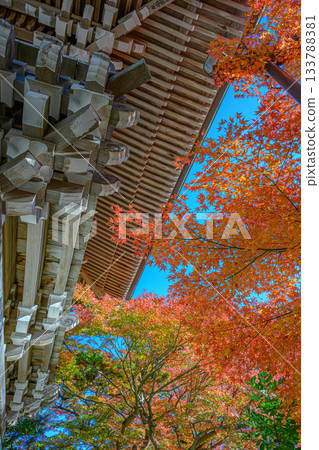Autumn leaves (Yakuo-in Temple, Mount Takao) 133788381