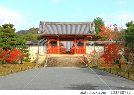 仁和寺的秋天(京都市中門) 仁和寺的秋天(京都市中門) 133788782