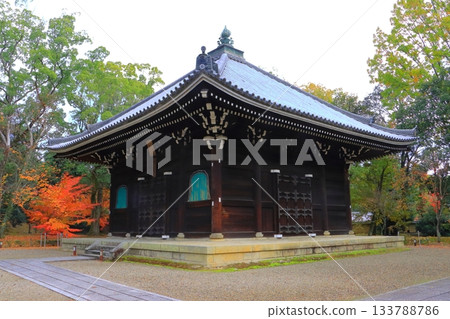 Autumn at Ninna-ji Temple (Kyoto, Kyoto City) 133788786