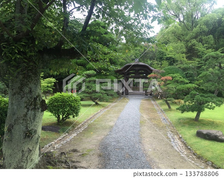 一個安靜的花園 133788806