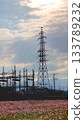 Substation tower and cosmos 133789232