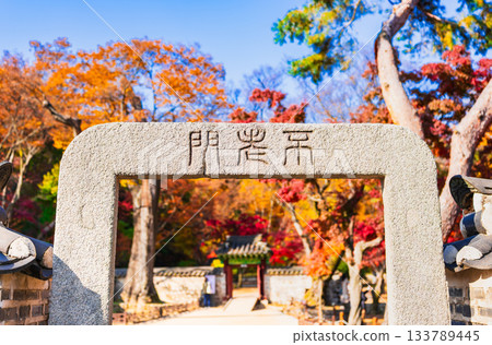 Seoul: Autumn leaves at Changdeokgung Palace Secret Garden 133789445
