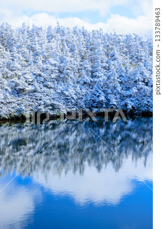 岩手縣八幡平市鏡沼池的秋雪景色 岩手縣八幡平市鏡沼池的秋雪景色 133789463