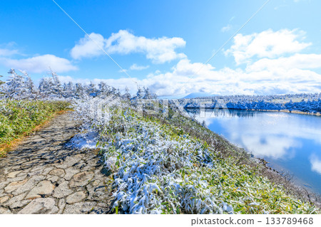 岩手縣八幡平市賀摩沼池的秋日雪景 133789468
