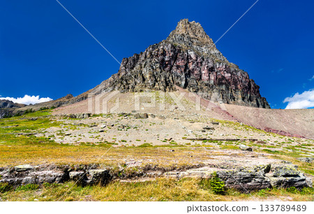 Clements Mountain rises above alpine meadows near Logan Pass in Glacier National Park Montana. Sedimentary rock layers of Lewis Range are visible on this iconic peak under clear blue sky 133789489
