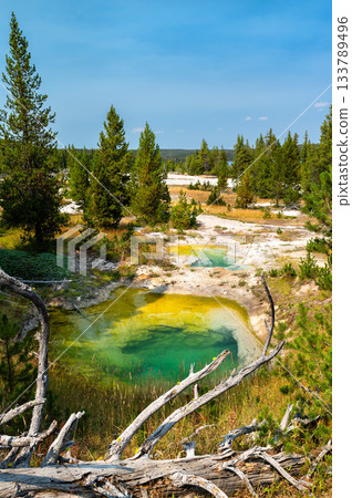 Bluebell and Seismograph Pools lie in West Thumb Geyser Basin of Yellowstone National Park Wyoming. Geothermal springs feature clear blue water and rocky edges near Yellowstone Lake on sunny day Bluebell and Seismograph Pools lie in West Thumb Geyser Basin of Yellowstone National Park Wyoming. Geothermal springs feature clear blue water and rocky edges near Yellowstone Lake on sunny day 133789496