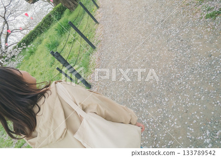 cherry-blossom viewing, cherry blossom, cherry tree 133789542